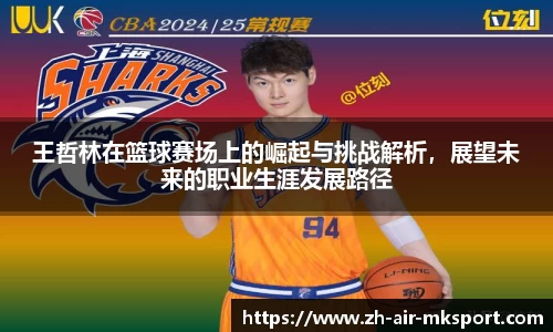王哲林在篮球赛场上的崛起与挑战解析,展望未来的职业生涯发展路径